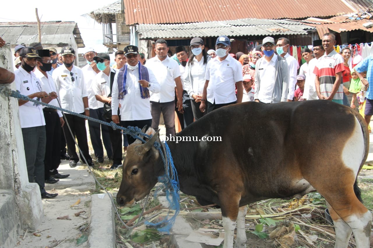 Bupati KKT Serahkan Hewan Kurban di Kecamatan Wuar Labobar 