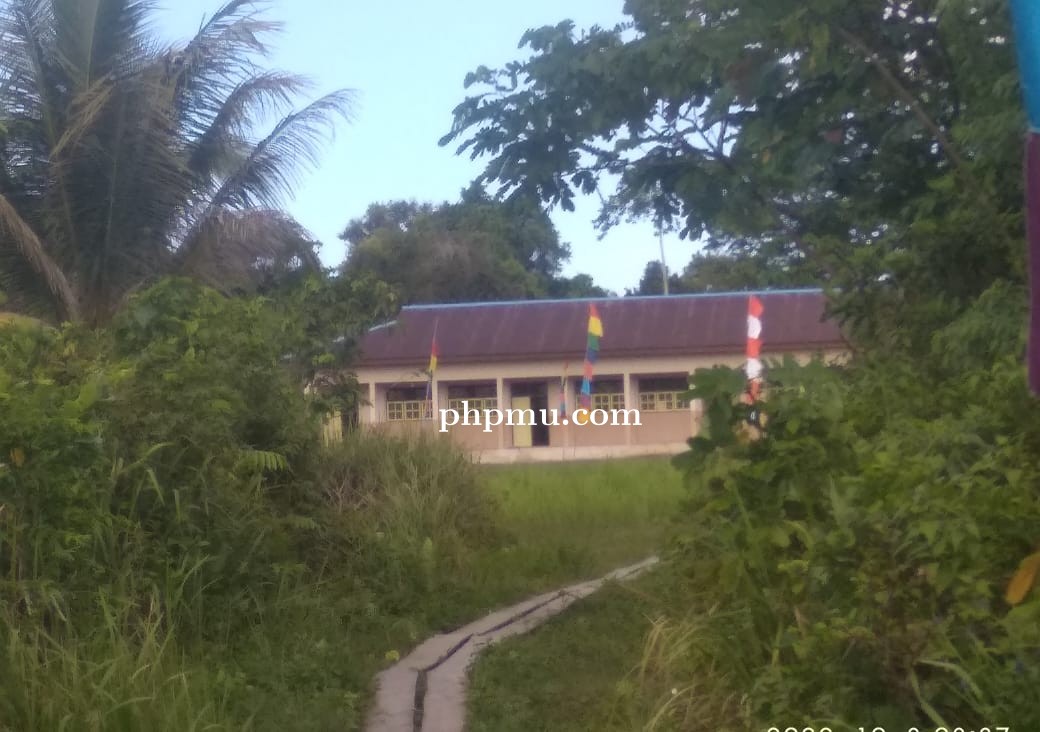 Jalan Menuju SDN 2 Dobo Berubah Jadi Danau Saat Hujan  Pemkab Jangan Tutup Mata