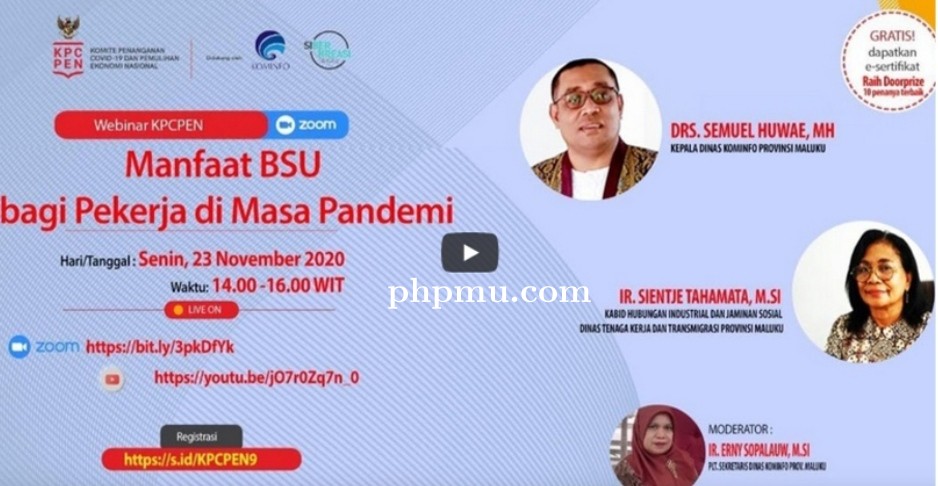 Wujudkan Kesehatan Pulih Dan Ekonomi Bangkit, KPCPEN Bersama PEMDA MALUKU Gelar Webinar